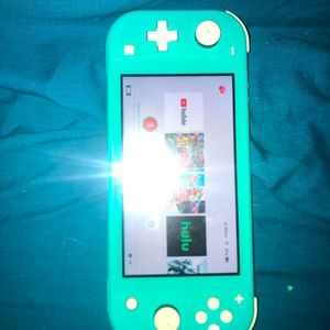 Nintendo switch lite